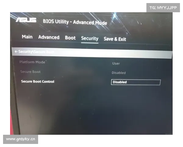 飞行堡垒：中文为中心的BIOS修改之道