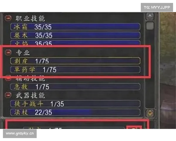 魔兽世界怀旧服:射击技能主宰战场